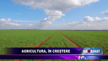 Agricultura, în creștere