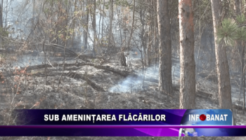 Sub amenințarea flăcărilor