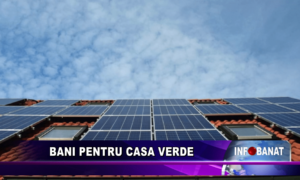 Bani pentru casa verde