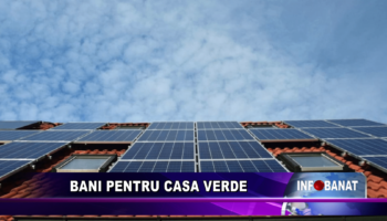 Bani pentru casa verde