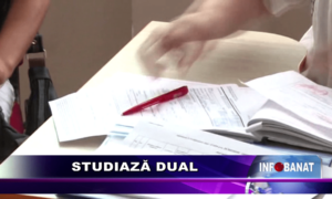 Studiază dual