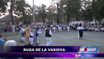 Ruga de la Vasiova