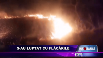 S-au luptat cu flăcările