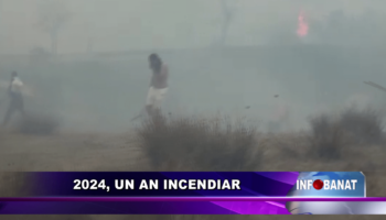 2024, un an incendiar