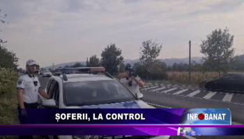 Șoferii, la control