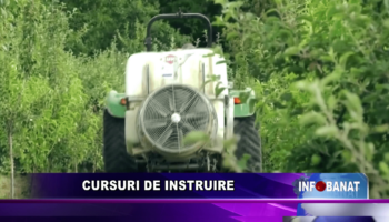 Cursuri de instruire