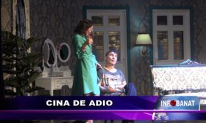 Cina de adio