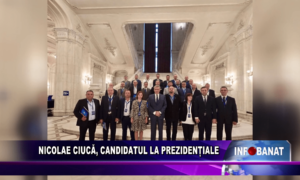 Nicolae Ciucă, candidatul la prezidențiale