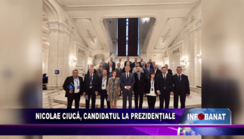 Nicolae Ciucă, candidatul la prezidențiale