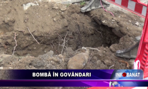 Bombă în Govândari