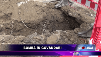 Bombă în Govândari