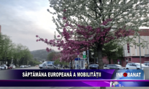 Săptămâna Europeană a Mobilității