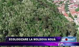 Ecologizare la Moldova Nouă