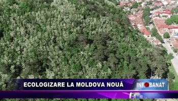 Ecologizare la Moldova Nouă