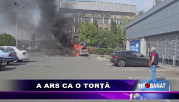 A ars ca o torță