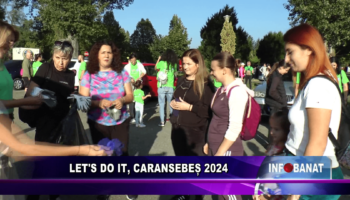 Let’s Do It, Caransebeș 2024