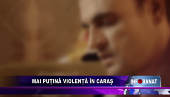 Mai puțină violență în Caraș