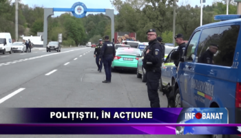 Polițiștii în acțiune