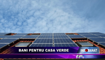 Bani pentru Casa Verde