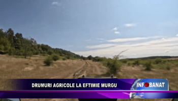 Drumuri agricole la Eftimie Murgu