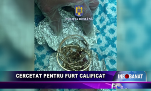 Cercetat pentru furt calificat