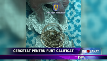 Cercetat pentru furt calificat