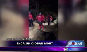 Încă un cioban mort