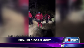 Încă un cioban mort