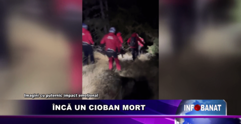 Încă un cioban mort