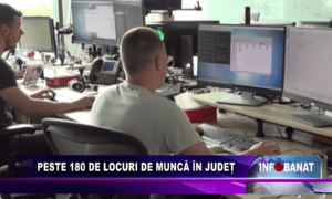 Peste 180 de locuri de muncă în județ