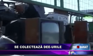 Se colectează DEE-urile