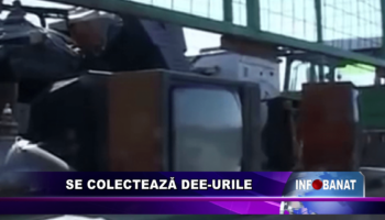 Se colectează DEE-urile