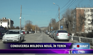 Conducerea Moldova Nouă, în teren