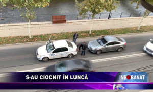 S-au ciocnit în Luncă