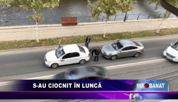 S-au ciocnit în Luncă