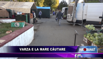 Varza e la mare căutare