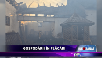 Gospodării în flăcări