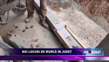 Noi locuri de muncă în județ