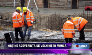 Obține adeverința de vechime în muncă