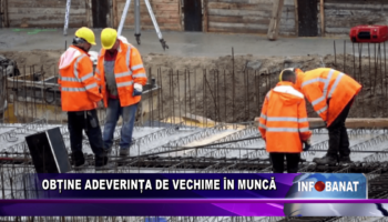 Obține adeverința de vechime în muncă