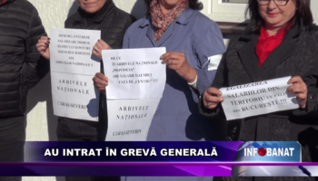 Au intrat în grevă generală