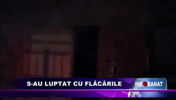 S-au luptat cu flăcările