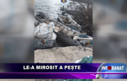 Le-a mirosit a pește