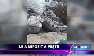 Le-a mirosit a pește