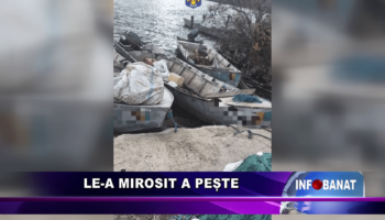 Le-a mirosit a pește