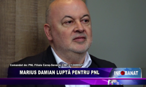 Marius Damian luptă pentru PNL