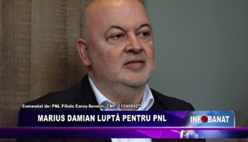 Marius Damian luptă pentru PNL