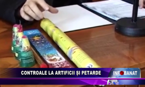 Controale la artificii și petarde