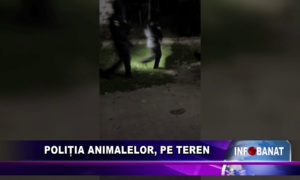 Protecția animalelor, pe teren