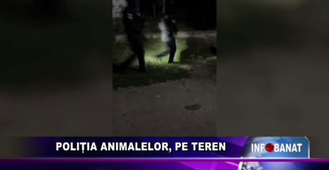 Protecția animalelor, pe teren